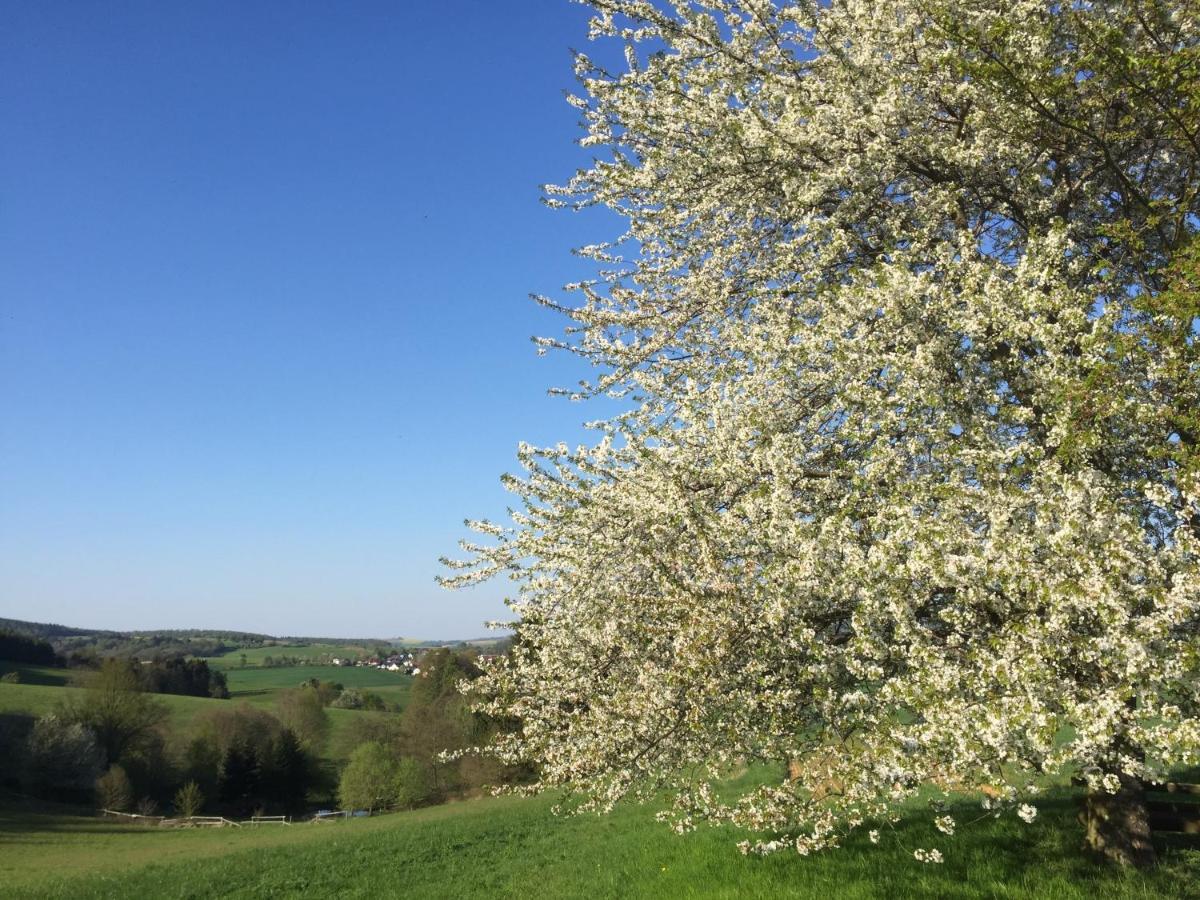 Landhotel Lortz Reichelsheim Экстерьер фото