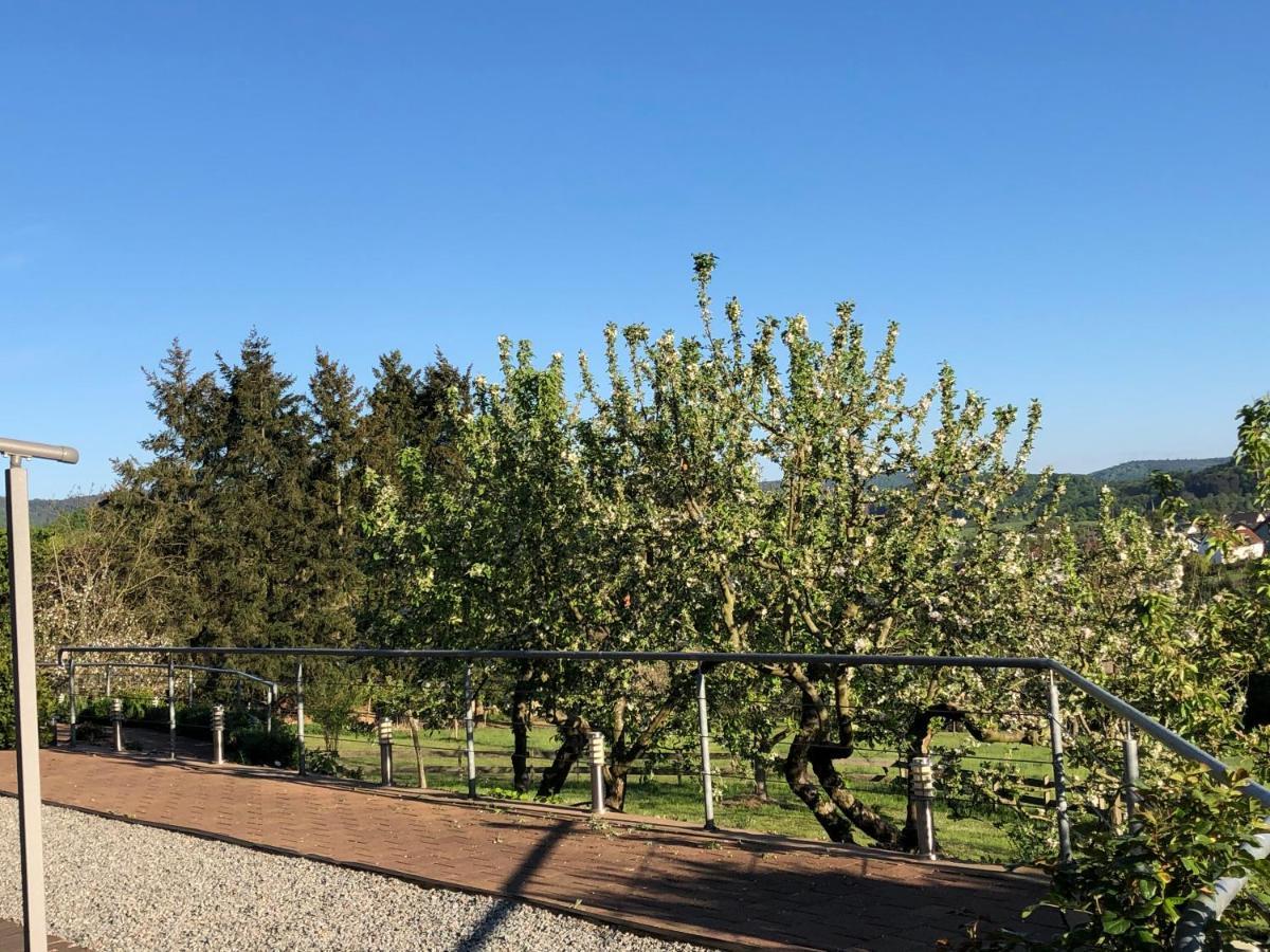 Landhotel Lortz Reichelsheim Экстерьер фото
