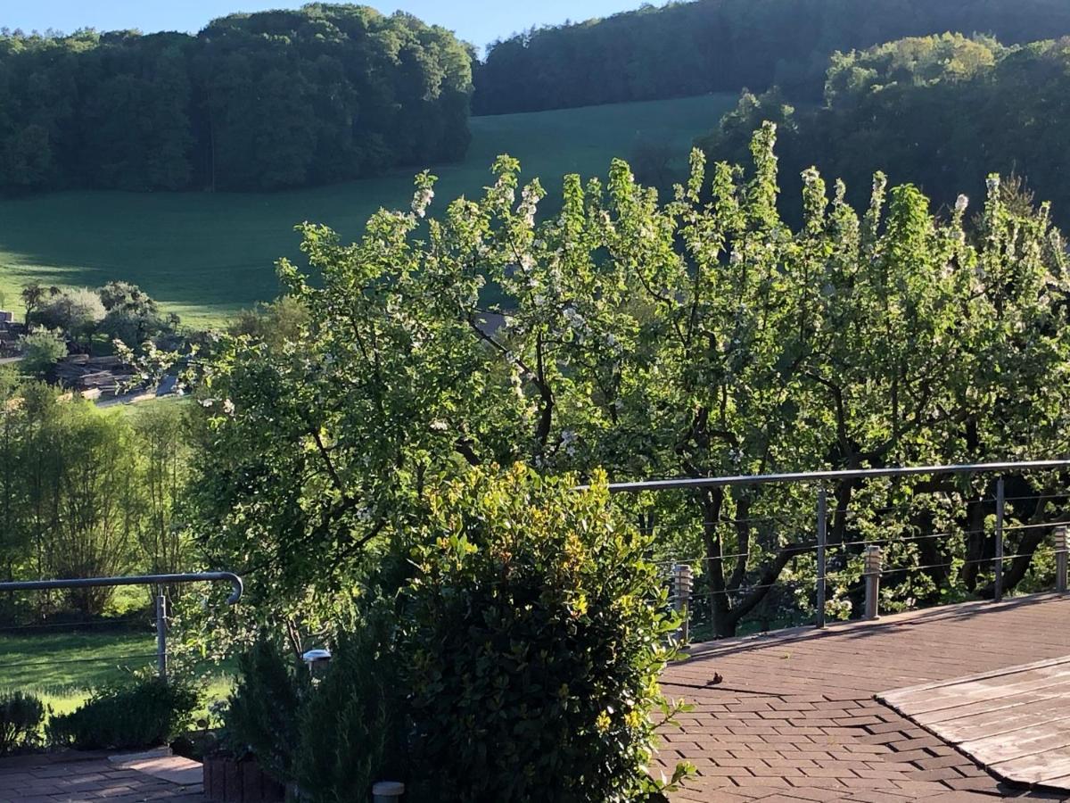 Landhotel Lortz Reichelsheim Экстерьер фото